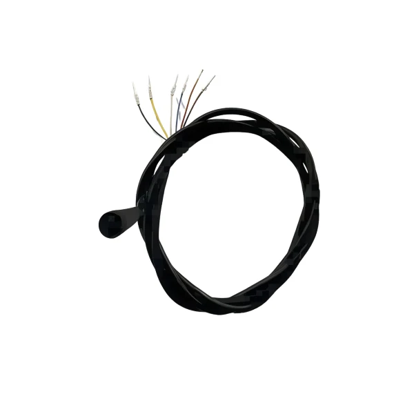 Kukirin Câble intégré maître G2