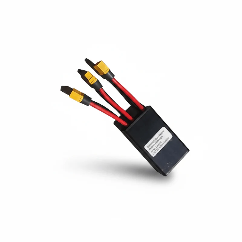 Equilibreur de Batterie pour Vélo Electrique Garrett Miller Double Batterie