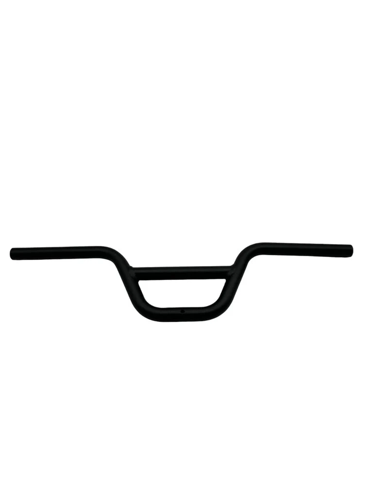 P177 - GUIDON DUALTRON TOGO