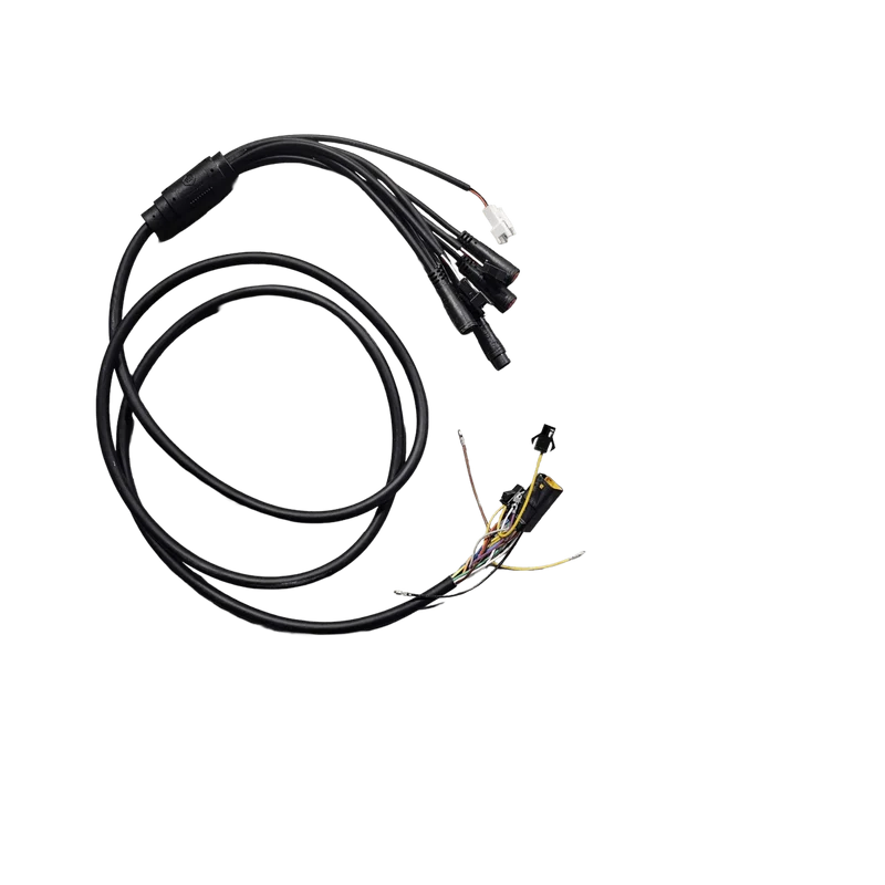 Cable principal pour Trottinette Électrique Teverun Space