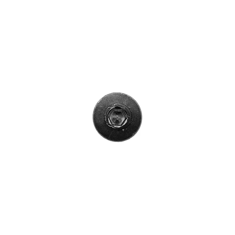 Vis Folding Inox pour Trottinette Électrique Minimotors Dualtron (x10)