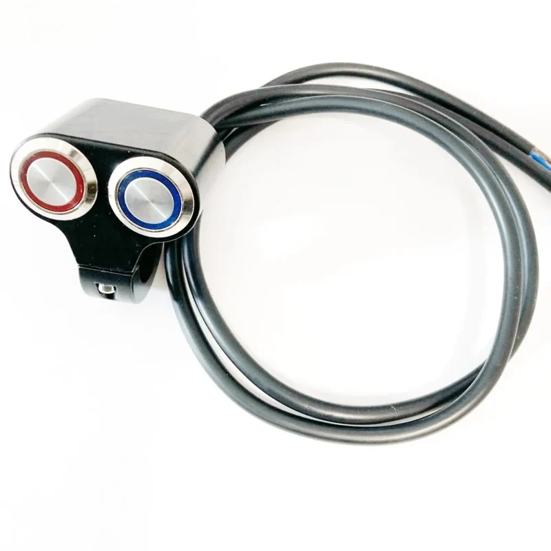 Panneau à double bouton interrupteur + bouton-poussoir