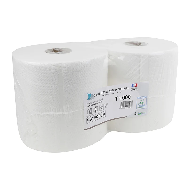 Papier Bobine Essuie-Main Blanc (2 Bobines - 800 Feuilles Dim 24X25 cm)