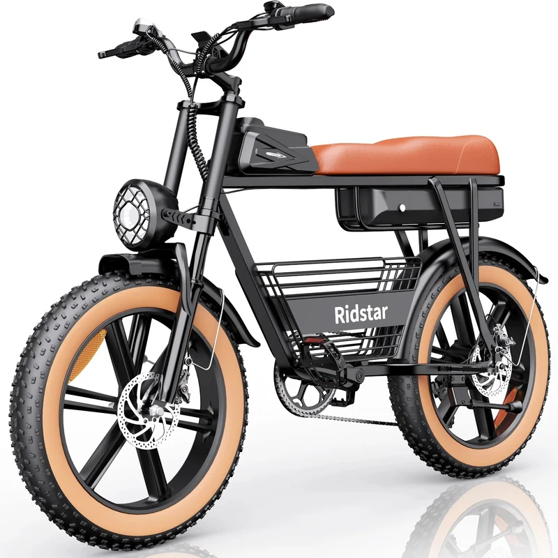 YVY CR20 20" Vélo Électrique Style Rétro Tout-Terrain Moteur 1000W Batterie 48V 20Ah