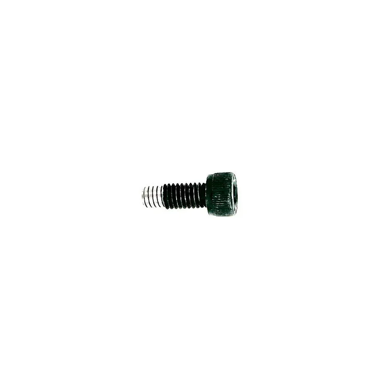 vis direction dualtron Mini Dual Moteur