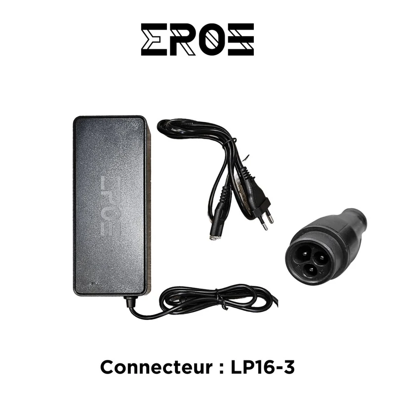 Chargeur Rapide Universel de Trottinette Électrique pour Batterie 48V
