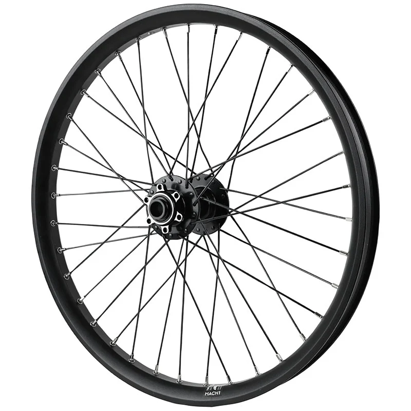 Roue VTT - Cargo - VAE - E-Bike - Longtail Disque Axe Traversant 20" Trucky 30 Tubeless Ready Avant Noir Moyeu Velox 6 Trous (Renforcé) Jante 30C 36 Rayons Diamètre 2.3-2.0 mm -Poids Max 250 Kg-