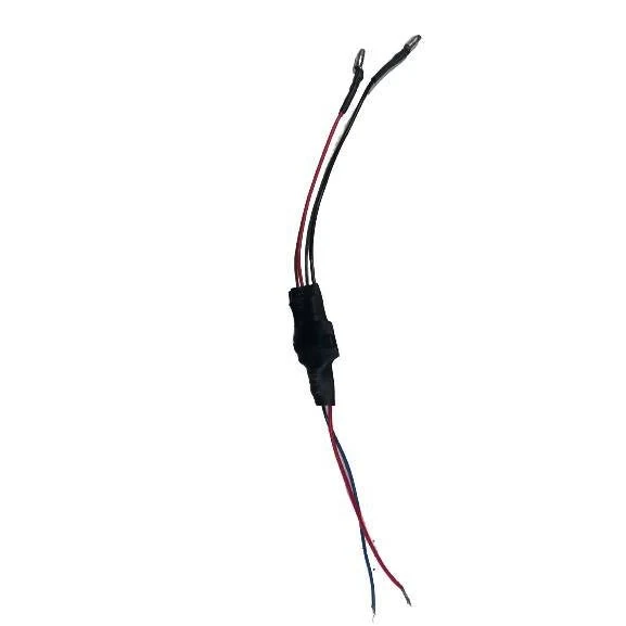 Convertisseur Tension pour Trottinette Électrique Speedway Mini 4 Pro Minimotors