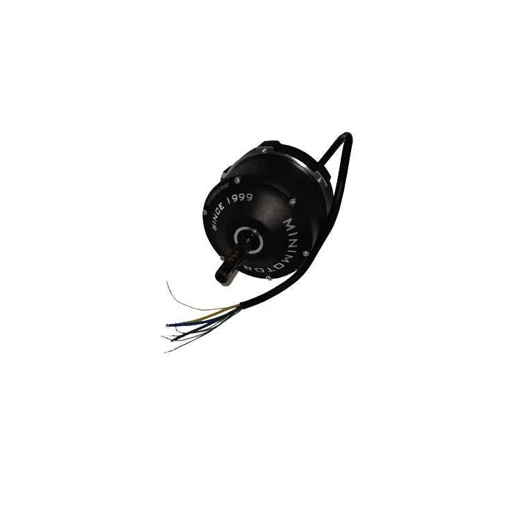 Moteur Brushless pour Trottinette Électrique Dualtron X 2