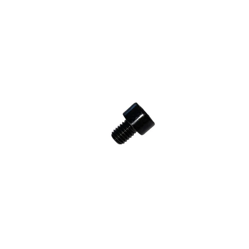 Vis M6x8 à Tête Cylindrique et Empreinte Allen (Pack de 10)