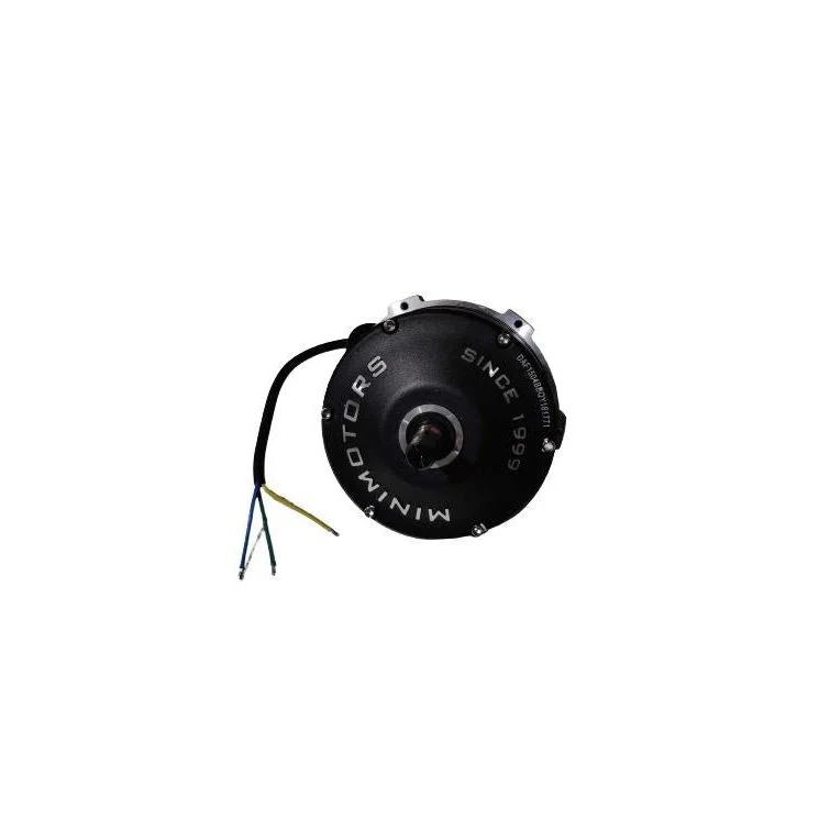 Moteur Brushless pour Trottinette Électrique Dualtron Achilleus