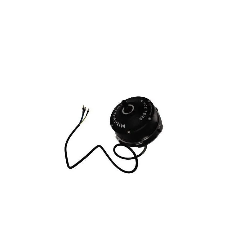 Moteur Brushless pour Trottinette Électrique Dualtron Eagle Et Eagle Pro