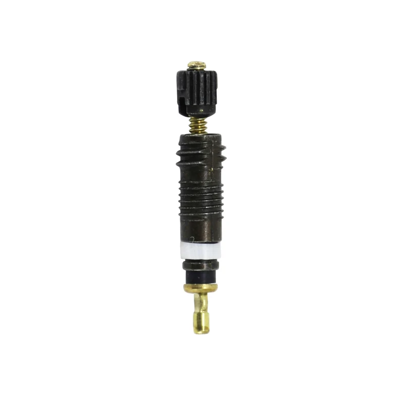 Corps De Valve Chambre A Air Schwalbe Noir Presta - Obus De Valve