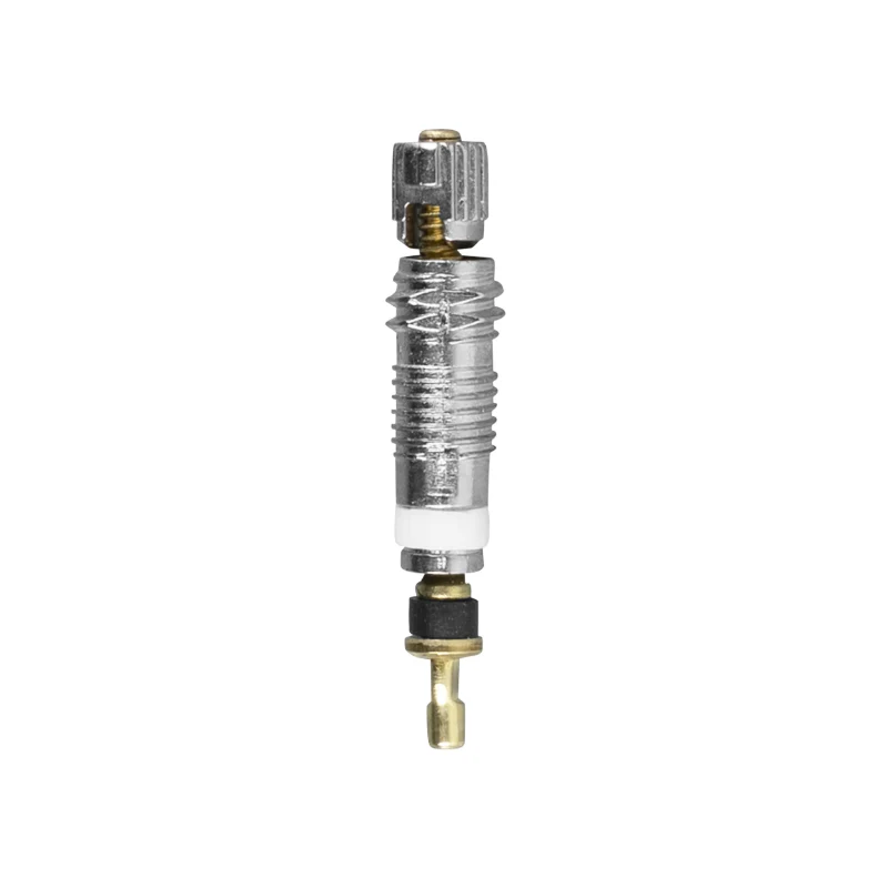 Corps De Valve Chambre A Air Schwalbe Argent Presta - Obus De Valve