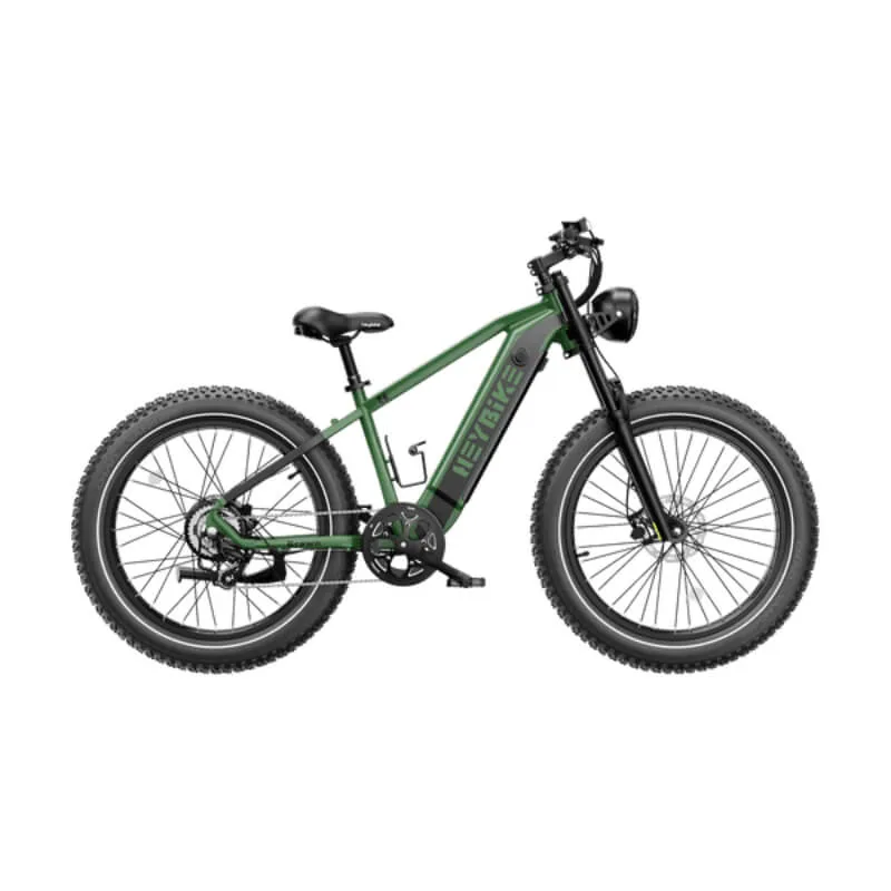 Heybike Brawn Electric Bike