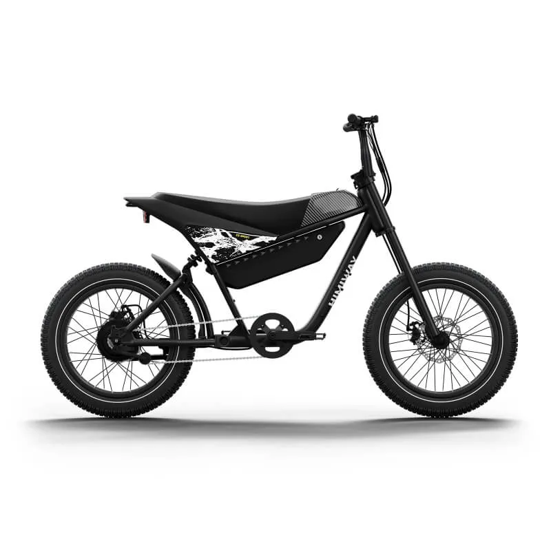 Himiway C5 Electric Bike