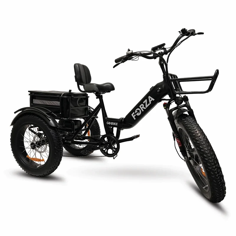 FORZA Electric Tricycle by ElectricGOBIKE