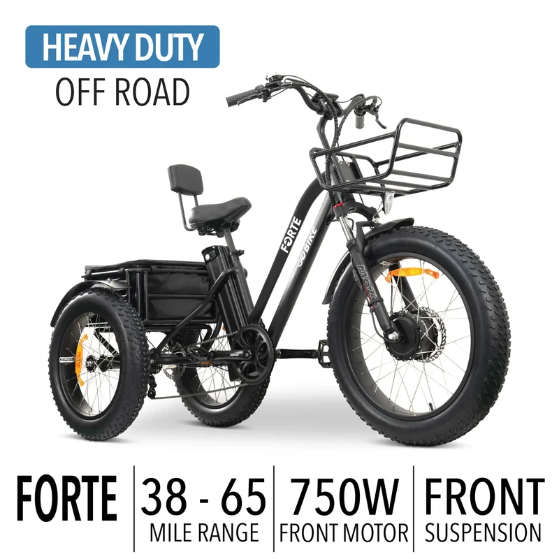 FORTE Electric Tricycle by ElectricGOBIKE