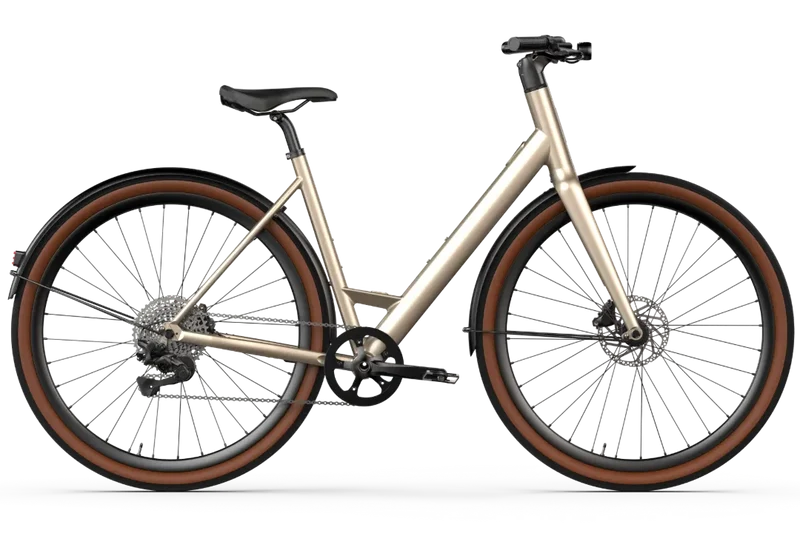 Vélo électrique Desiknio Oxytocin 11-Speed