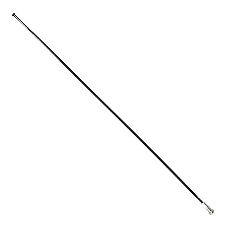 Rayon INOX Noir Plat (2,2 X 0,09 mm) Tête Droite 2 mm L 262 mm Sapim Cx-Ray Avec Écrou (Vendu A L'Unite)