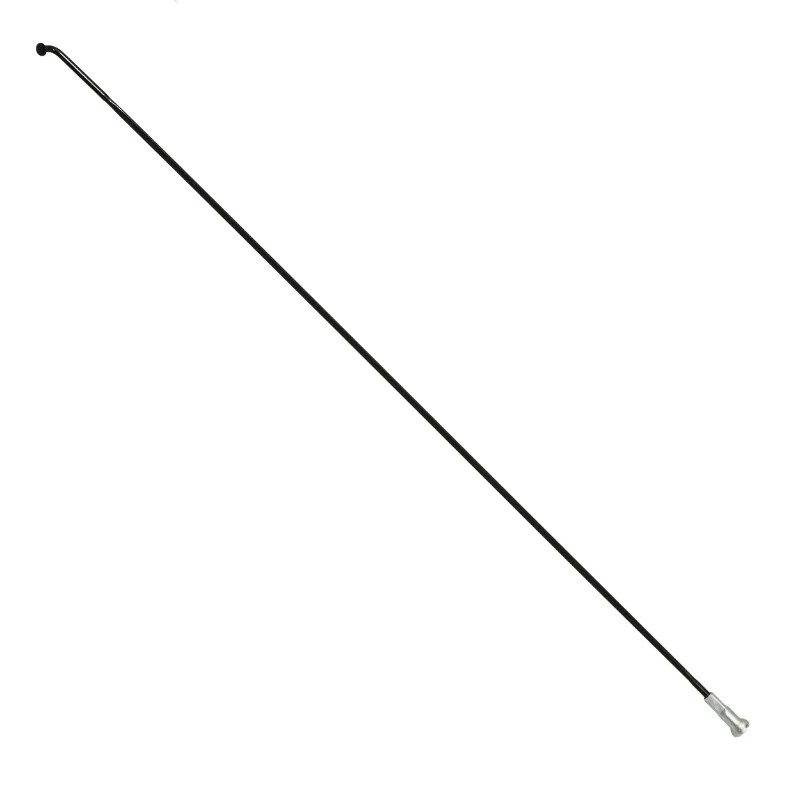 Rayon INOX Noir Plat (2,2 X 0,09 mm) Tête Coudée 2 mm L 280 mm Sapim Cx-Ray Avec Écrou (Vendu A L'Unite)