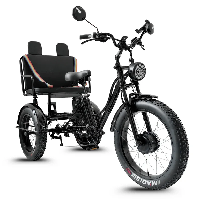 Vélo Électrique 3 Roues Fat Bike – Treefat 2