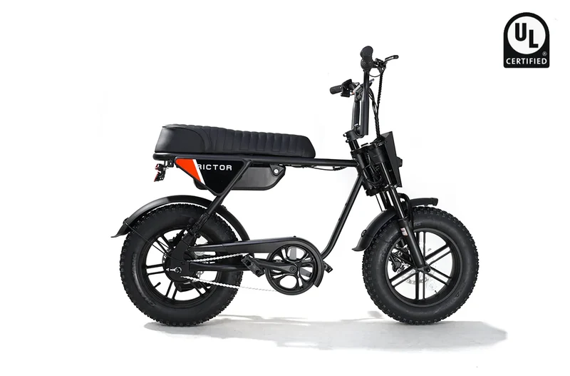 Rictor Flexx IoT Ebike