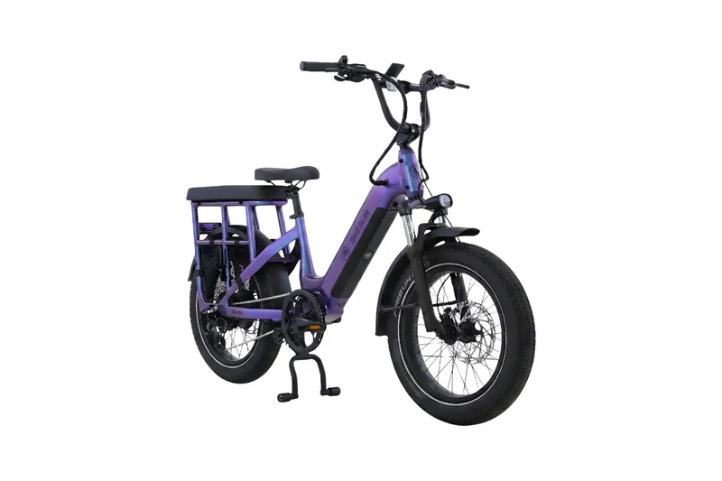 AIMA Big Sur U Cargo Ebike