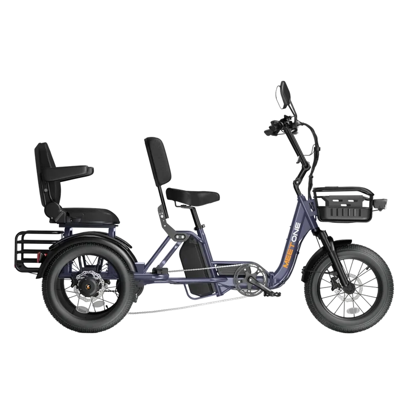 Meet One Pair Electric trike With Passenger Seat