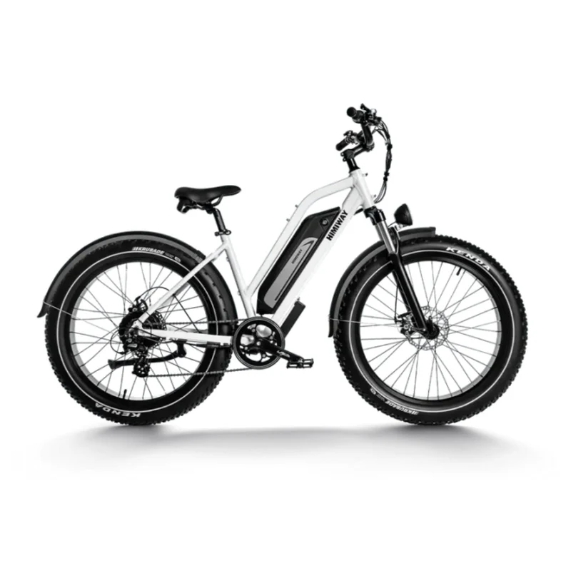 HIMIWAY D3 ST (Cruiser ST) 26" Vélo électrique tout-terrain Step Thru 750W Moteur 48V 15Ah Batterie