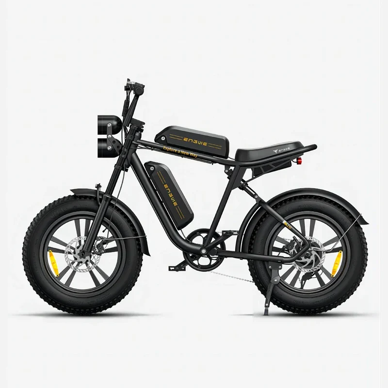 ENGWE M20 20" Vélo électrique tout-terrain à gros pneus 750W Moteur 48V 26Ah Double Batterie