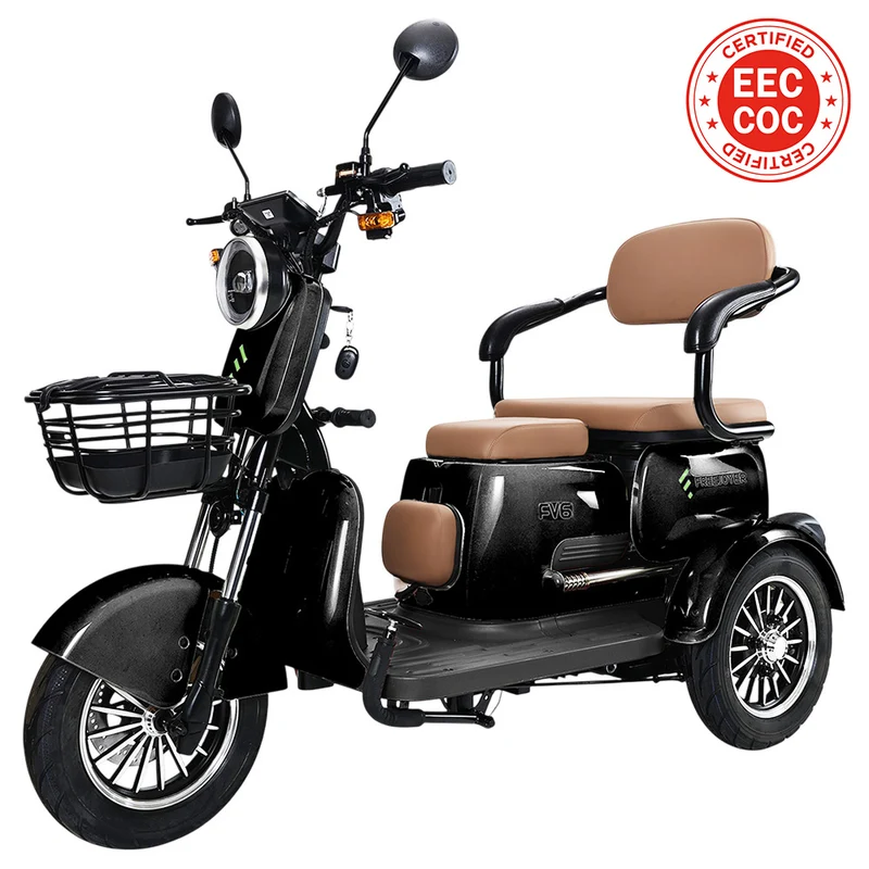 Freejoyer FV6 Electric Tricycle 1000W Motor 60V 20Ah Battery