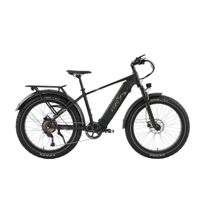Rize X Electric Bike
