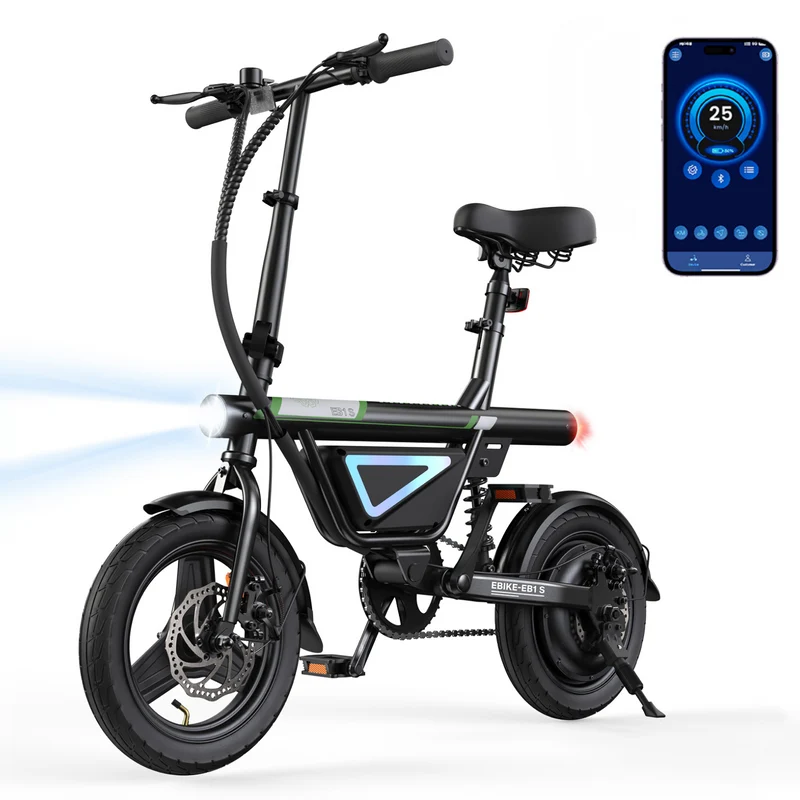 U1/EB1S Foldable Electric Bike 500W