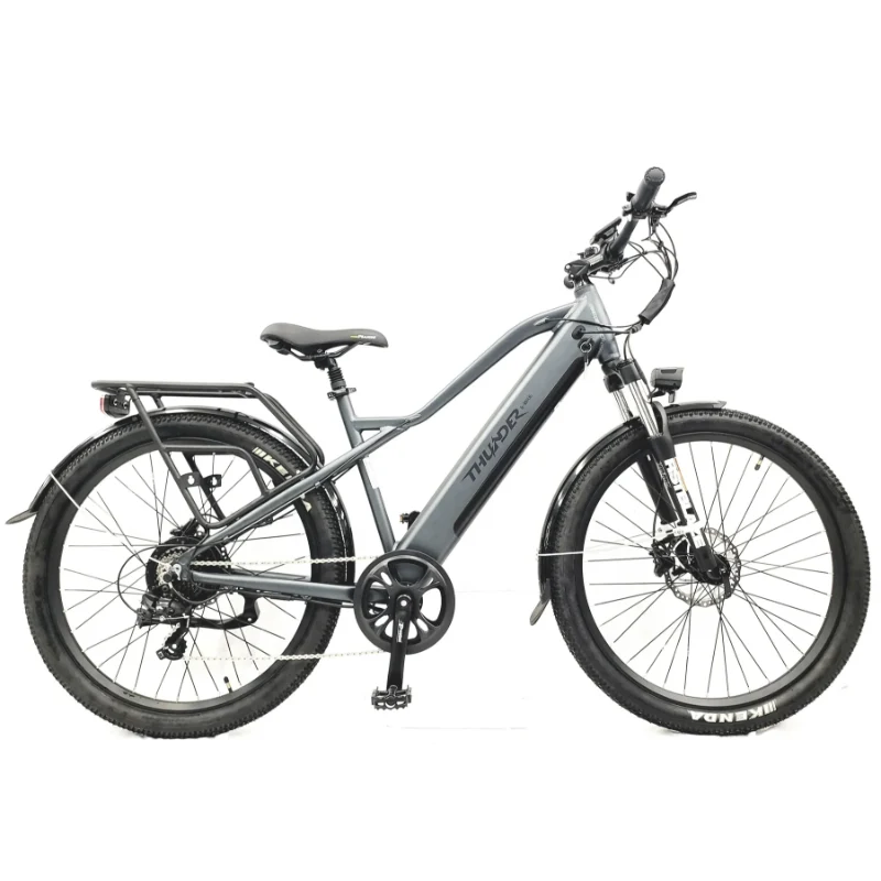 Thunder Pro Step-Over Electric Bike