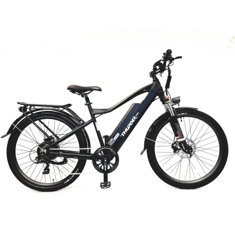 Thunder City RX Electric Bike