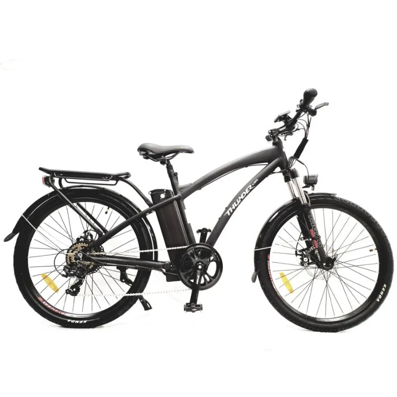 Thunder City Electric Bike