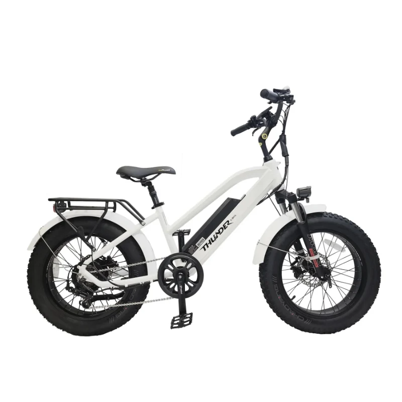 Thunder Leisure F500 Electric Bike