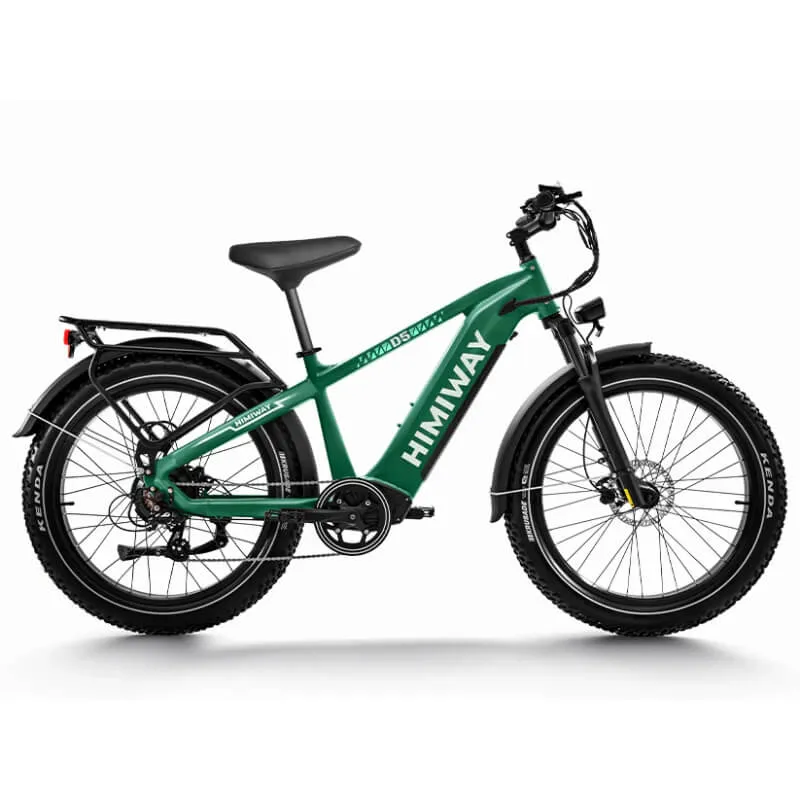 Himiway D5 Zebra Electric Bike