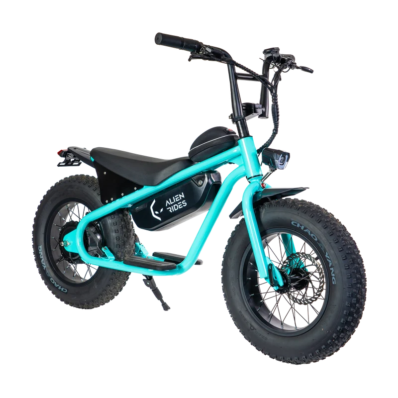 AR Atom 1000 Watt Mini Electric Bicycle