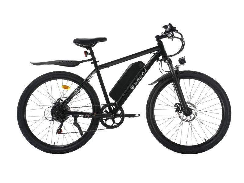 ISINWHEEL M10S 750W
