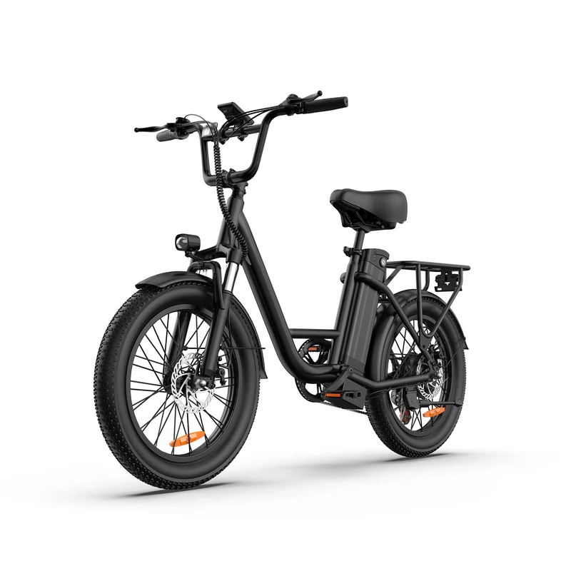 URLIFE E20 20"Vélo électrique à cadre ouvert 250W Moteur 48V 13Ah Batterie(EU edition)