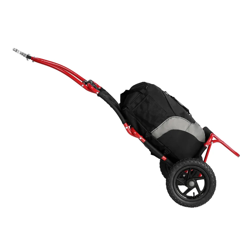 Chariot intelligent