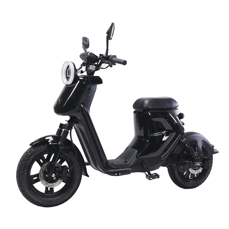 BEZIOR XIAONIU B 20" Electric Bike 1500W Moteur 48V 20Ah Batterie