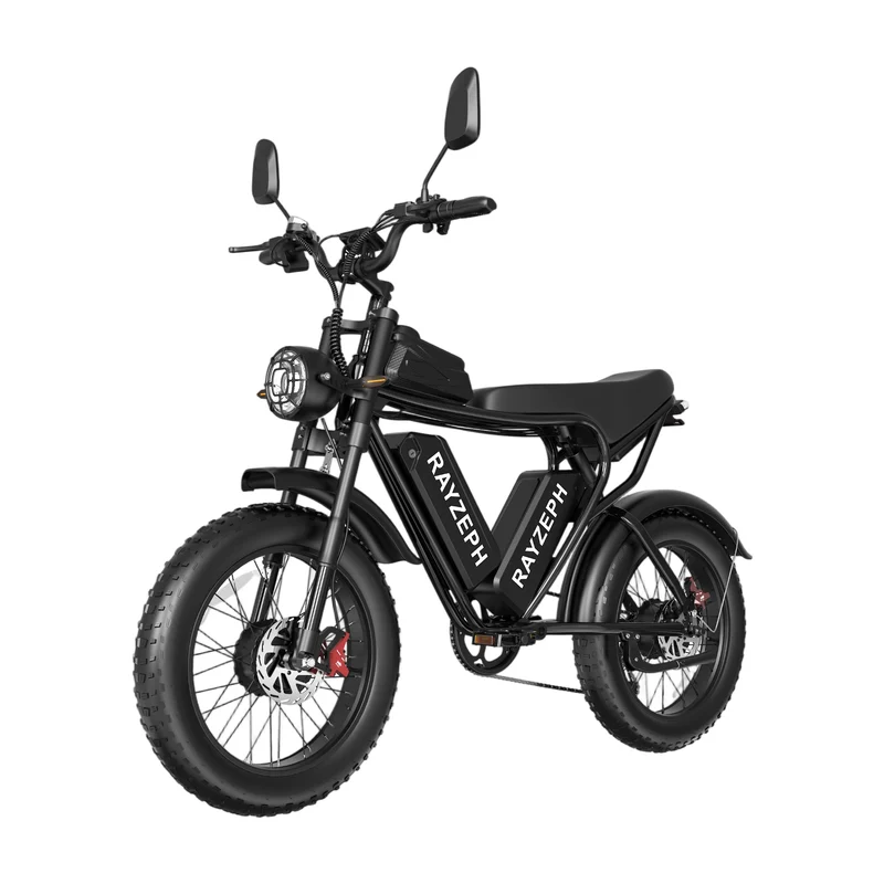 RAYZEPH C20MAX-1 20" Vélo électrique tout-terrain 2000W Moteur 52V 40Ah Batterie