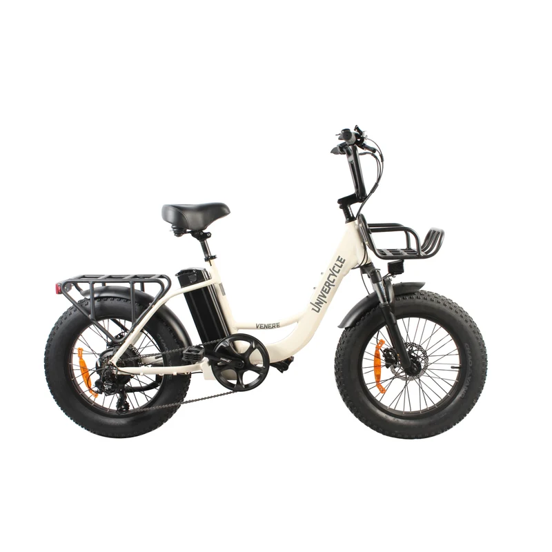UNIVERCYCLE B5 20" Vélo électrique pliant cadre bas 500W Moteur 48V 13Ah Batterie