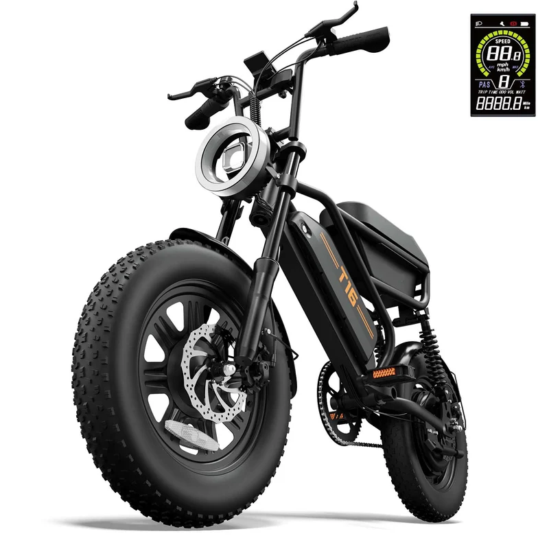 URLIFE T16 16" Vélo électrique tout-terrain 250W Moteur 48V 13Ah Batterie