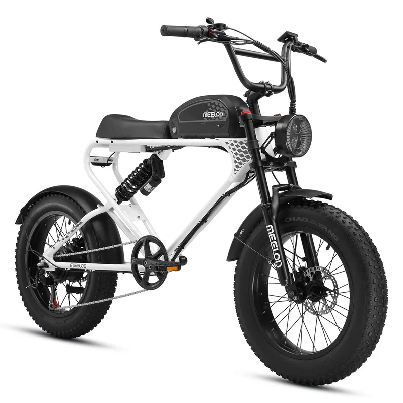 MEELOD DK300 PLUS 20" Vélo électrique de style cyclomoteur rétro 1200W de pointe Deux moteurs 48V 20Ah Batterie