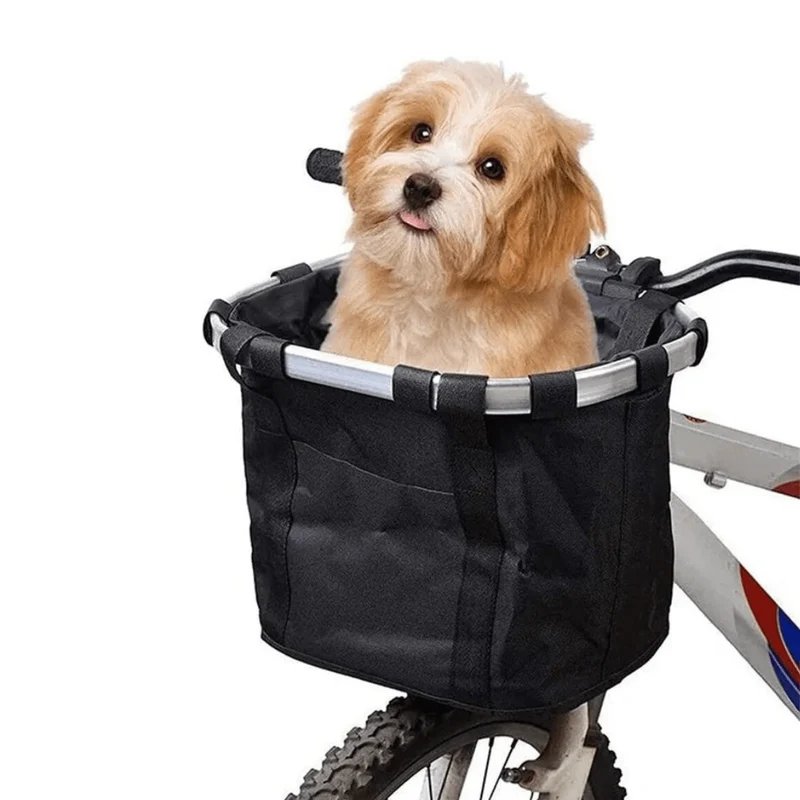 Panier pour chien intelligent